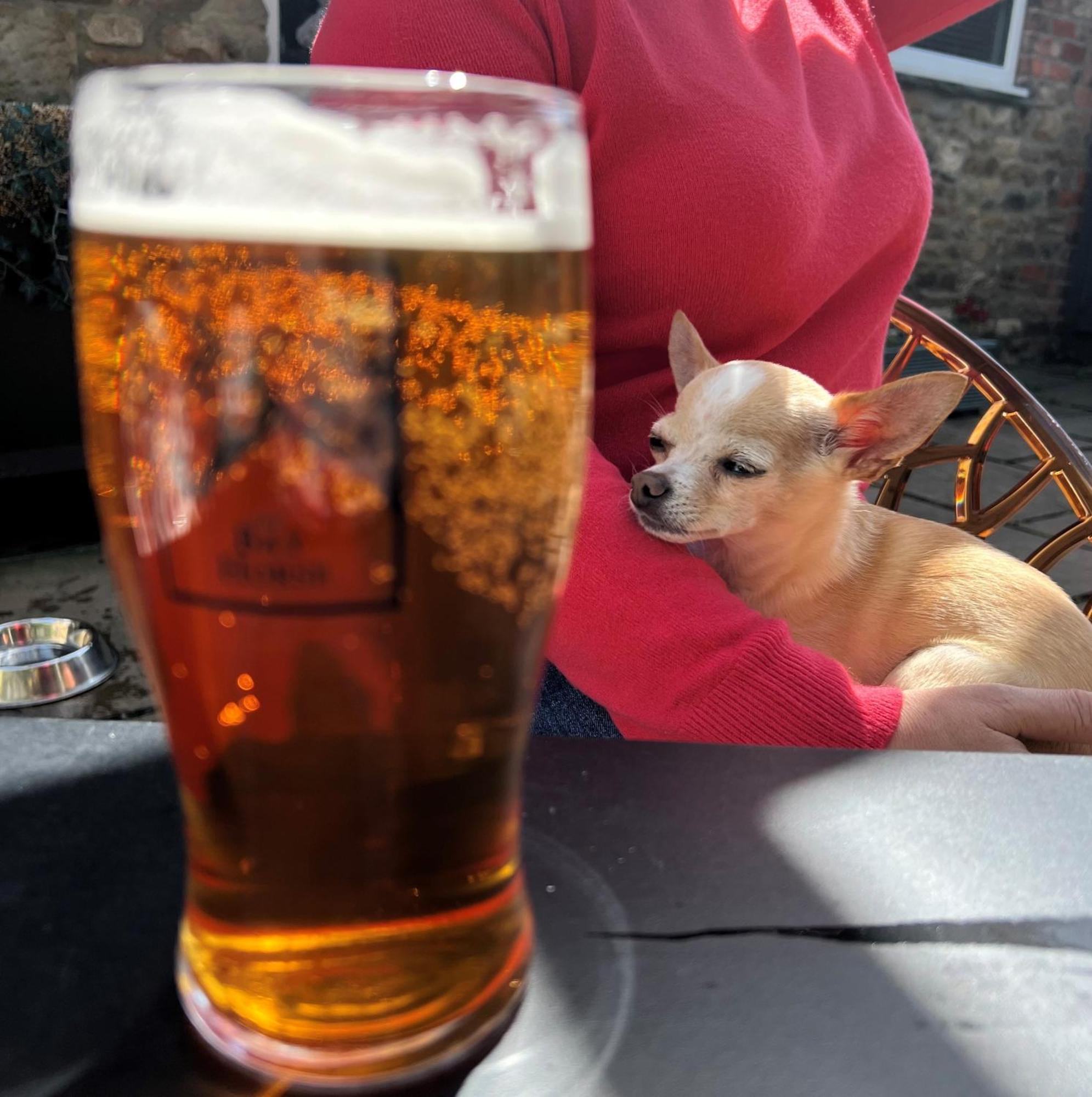 The Bay Horse, Masham Hotel Екстериор снимка